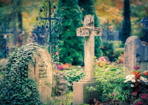 Foto Friedhof mit Grabsteinen und Grünpflanzen, Bäume im Herbst